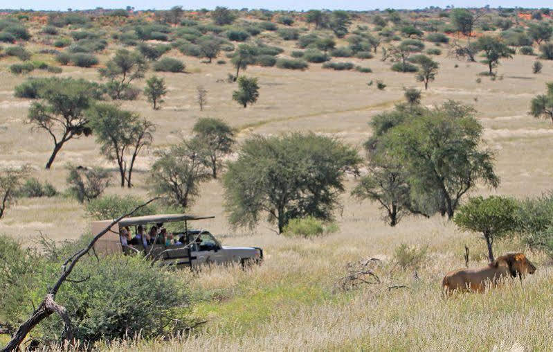 מריינטל Suricate Tented Lodge מראה חיצוני תמונה