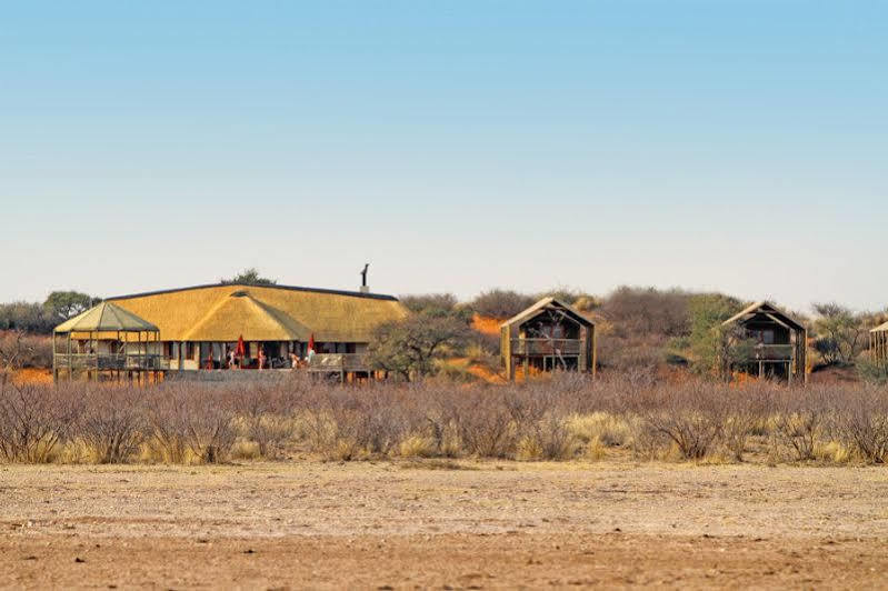 מריינטל Suricate Tented Lodge מראה חיצוני תמונה